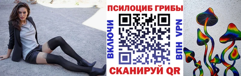 Псилоцибиновые грибы Cubensis  сколько стоит  Рыльск 